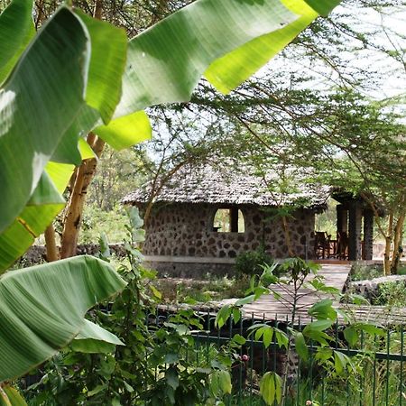 Kiboko Lodge Usa River Εξωτερικό φωτογραφία