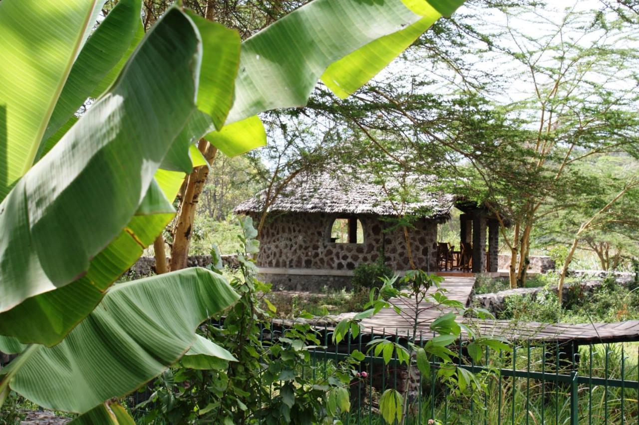 Kiboko Lodge Usa River Εξωτερικό φωτογραφία