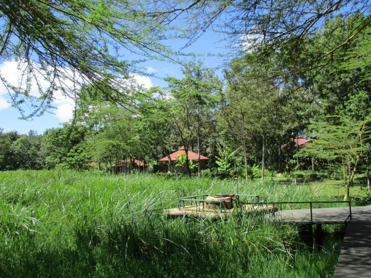 Kiboko Lodge Usa River Εξωτερικό φωτογραφία